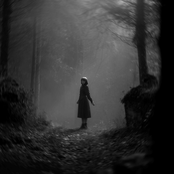 Golden Brown x Love Story