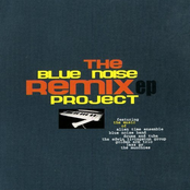 the blue noise remix project