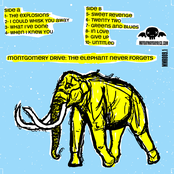 The Elephant Never Forgets (Early Recordings & B-Sides 2004-2008)