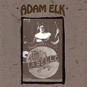 Suspended by Adam Elk