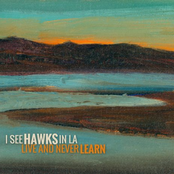 Live and Never Learn