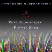 Post Apocalyptic Flower Shop