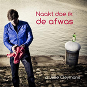 De Ideale Wereld by Jelle Cleymans