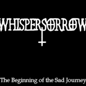 The Beginning of the Sad Journey