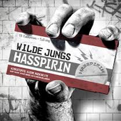 Willst Du Es Wagen by Wilde Jungs