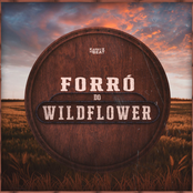 Forró do WILDFLOWER