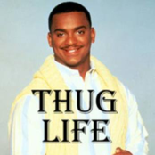 Codehalo House Cleaning