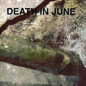 Let The Wind Catch A Rainbow On Fire by Death In June