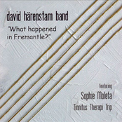 david harenstram band