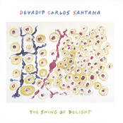 Song For My Brother by Devadip Carlos Santana