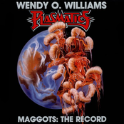 Propagators by Plasmatics