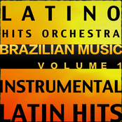 Brazil Hits, Vol. 1 (Instrumental Karaoke Tracks)