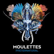 The Moulettes: Preternatural