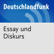 Essay und Diskurs