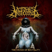 The Origin of Brutality