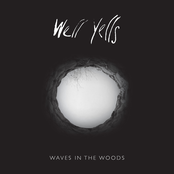Waves In The Woods