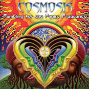 Fumbling for the Funky Frequency