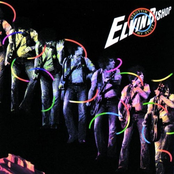 Fooled Around And Fell In Love by Elvin Bishop