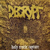 Holy Erotic Rapture by Decrypt