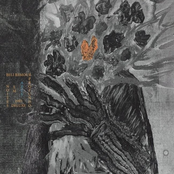 Noites em Azul Profundo, 1993 (Deluxe)