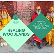 Healing Woodlands: Ambient Tracks For Meditation And Tranquility