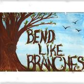 Bend Like Branches