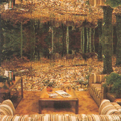 Seziki Tetrasheaf and Quiet Evenings Split