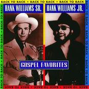 A House Of Gold by Hank Williams Jr.