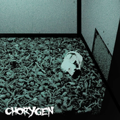 chorygen