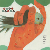 Golden Days Before They End