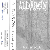 Forest Path