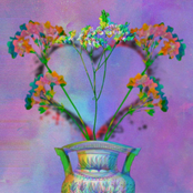 Everything Everywhere at the End of Life itself