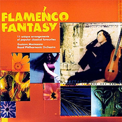 Fantasia Flamenca