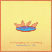 Everything Else Has Gone Wrong