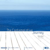 The Contemplative Journey