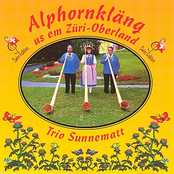 Alphornkläng us em Züri-Oberland