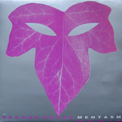 Mentasm (Remix) / Vortex