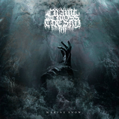 Marine Snow (EP)