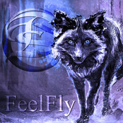 Dayshell: FeelFly