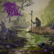 The Weeping Everglades