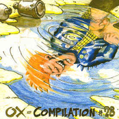 Ox-Compilation #28