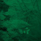 The Chikila Architecture