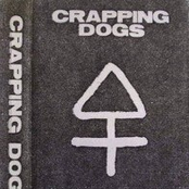 Crapping Dogs