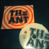 The Ant