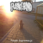 Supremacja Pusakow