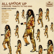 All Shook Up (A Reggae Tribute To The King)