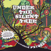 Psychedelic Pstones IV - Under The Silent Tree