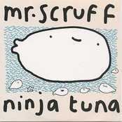 Ninja Tuna (Vinyl Debut Edition)