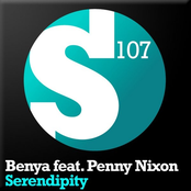 Serendipity (Incl Tenisha Remix)