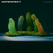 IMPERFECT
